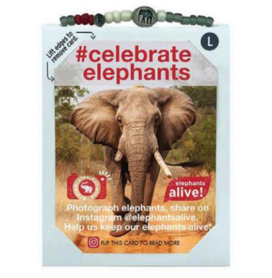 Elephants Alive Charity Bracelet