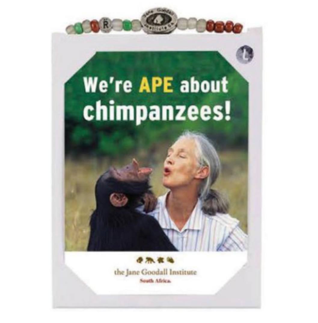 Jane Goodall Charity Bracelet