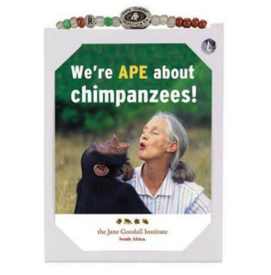 Jane Goodall Charity Bracelet